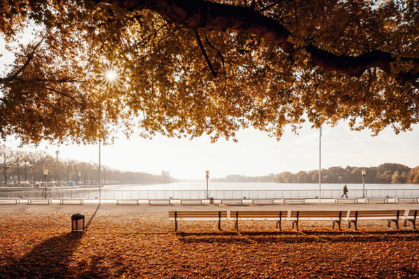 Hannover Maschsee Nordufer im Herbst