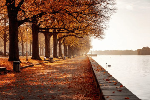 Hannover Maschsee im Herbst